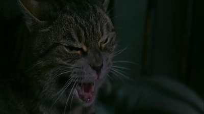 驱魔剧照的剧照