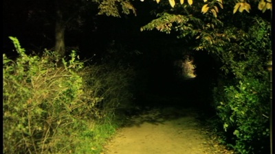 公路电影剧照的剧照