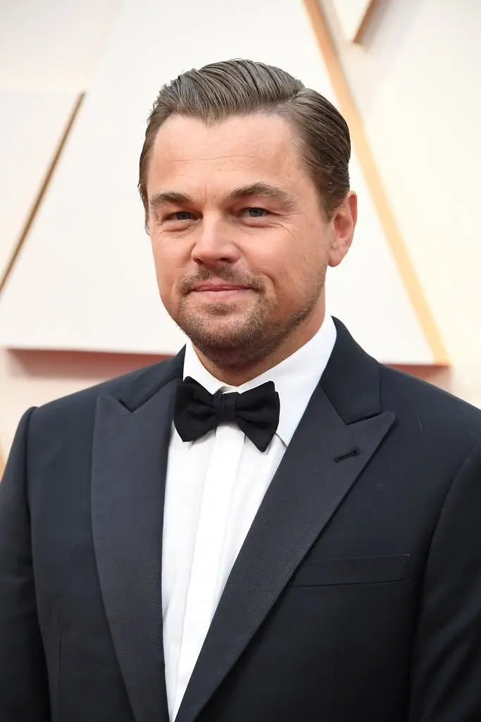 第92届奥斯卡颁奖典礼剧照的剧照