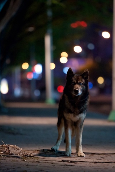 嚎叫剧照的剧照