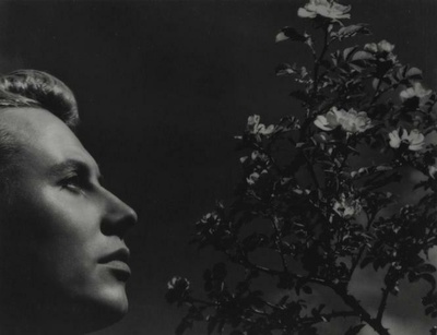 吉普赛女郎的风中悲恋剧照的剧照