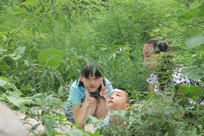 和梦一起飞剧照的剧照