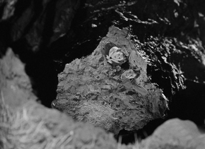 牙买加旅店剧照的剧照