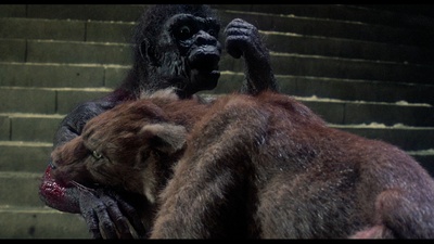 辛巴达穿破猛虎眼剧照的剧照