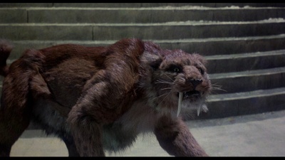 辛巴达穿破猛虎眼剧照的剧照