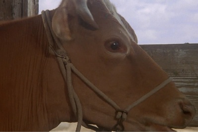 银线号大血案剧照的剧照