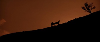 山丘上的情人剧照的剧照