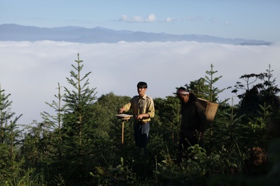 情比山高剧照的剧照