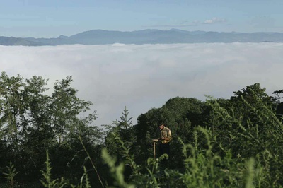 情比山高剧照的剧照