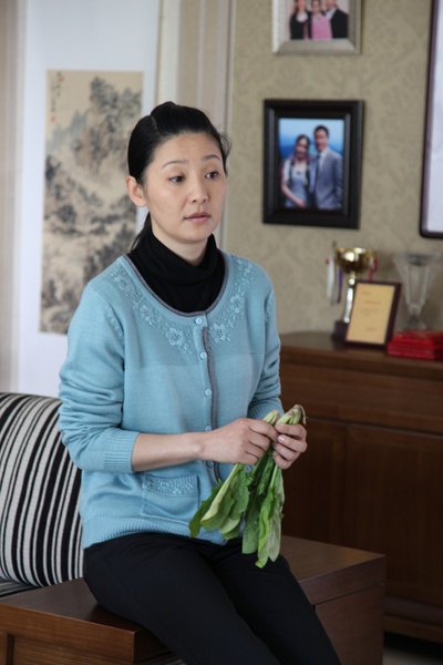 第一书记剧照的剧照