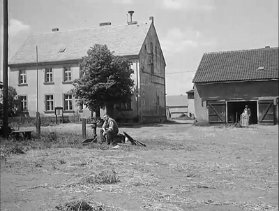 我当年19岁剧照的剧照