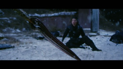 豹子头林冲之山神庙剧照的剧照