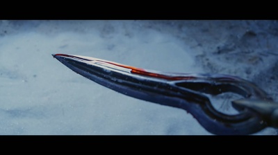 豹子头林冲之山神庙剧照的剧照