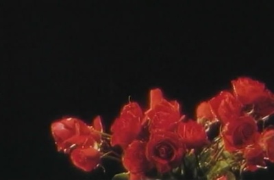 花祭剧照的剧照