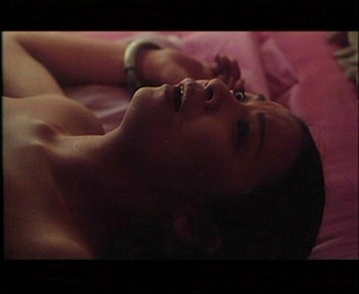 日光峡谷剧照的剧照