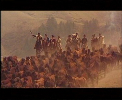 日光峡谷剧照的剧照