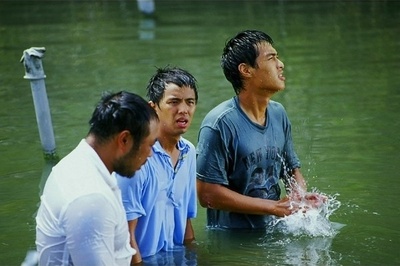 梦游夏威夷剧照的剧照