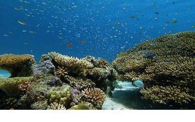 日本列岛 动物物语剧照的剧照