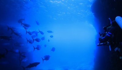 日本列岛 动物物语剧照的剧照