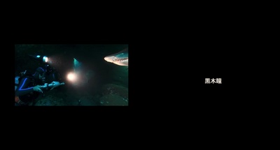 日本列岛 动物物语剧照的剧照