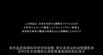 日本列岛 动物物语剧照的剧照