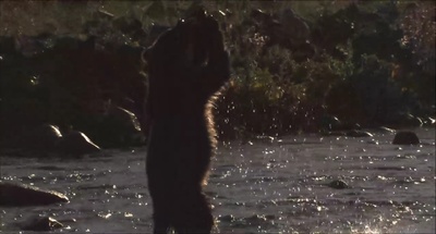 日本列岛 动物物语剧照的剧照