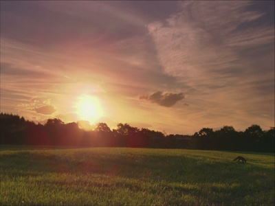 日本列岛 动物物语剧照的剧照