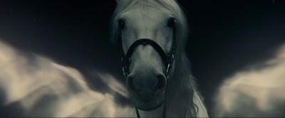 冬日奇缘剧照的剧照