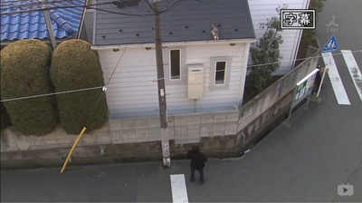 屋顶的公寓剧照的剧照