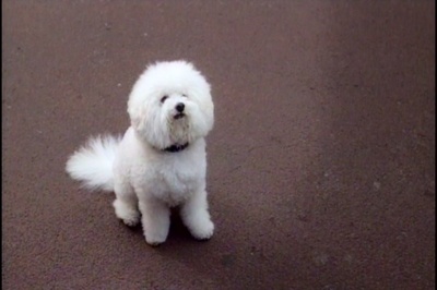 重金摇滚双面人剧照的剧照