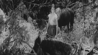 战国英豪剧照的剧照