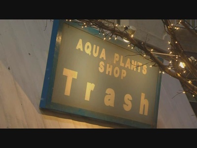 等待，只为与你相遇剧照的剧照