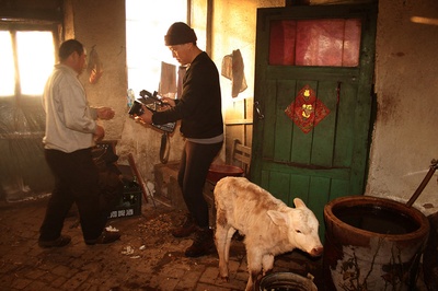 老唐头剧照的剧照