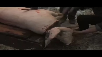 老唐头剧照的剧照