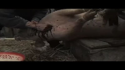 老唐头剧照的剧照