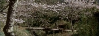 黑森林剧照的剧照