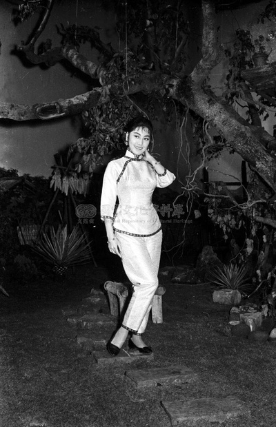 黑森林剧照的剧照