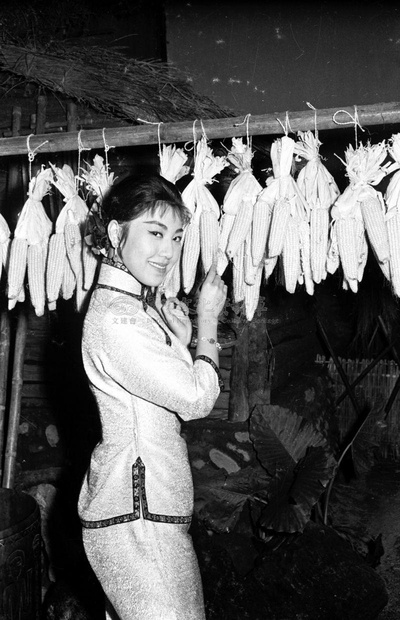 黑森林剧照的剧照