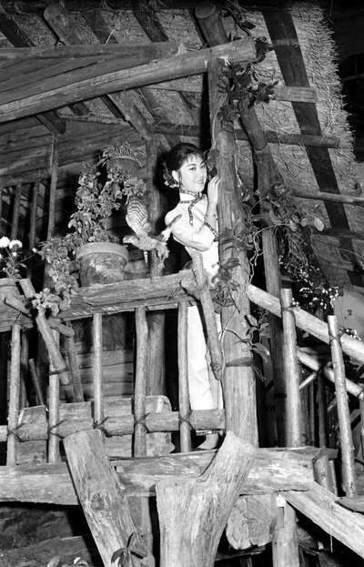 黑森林剧照的剧照