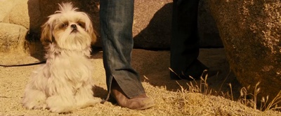 七个神经病剧照的剧照