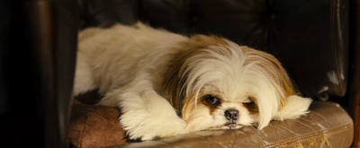 七个神经病剧照的剧照