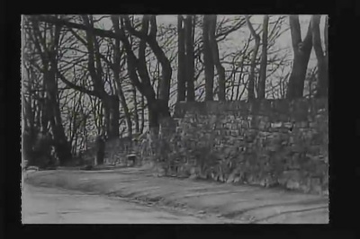 光天化日下的盗贼剧照的剧照