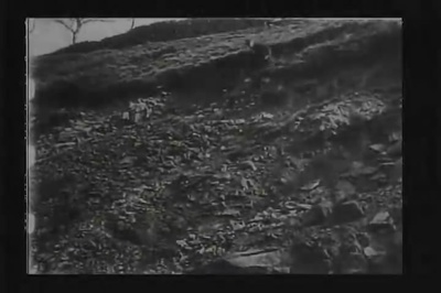 光天化日下的盗贼剧照的剧照