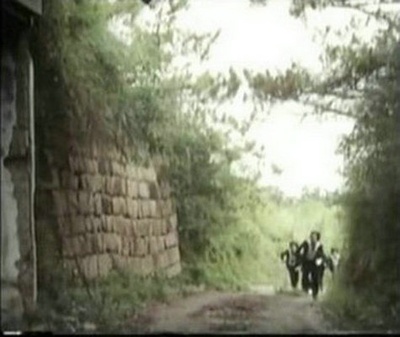 撞板神探电子龟剧照的剧照