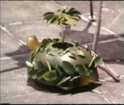 撞板神探电子龟剧照的剧照