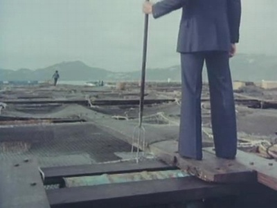 狐蝠剧照的剧照