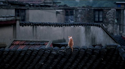 到阜阳六百里剧照的剧照