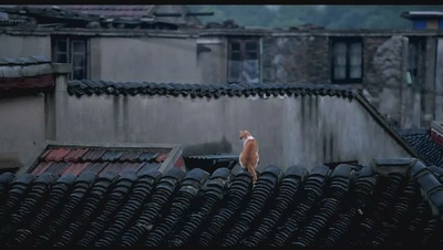 到阜阳六百里剧照的剧照