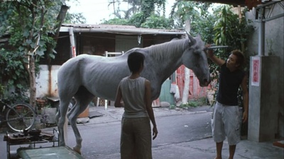 美丽时光剧照的剧照