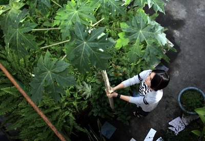 当爱来的时候剧照的剧照